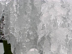 秋神温泉の氷点下の森の画像