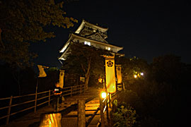 岐阜城の夜景の画像