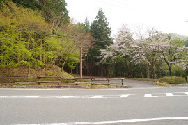 夫婦滝の画像