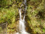 鯉谷滝の画像　福井県の観光地