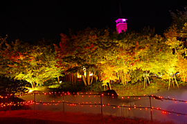 なばなの里のイルミネーションの画像