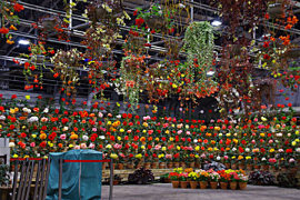 なばなの里のイルミネーションの画像