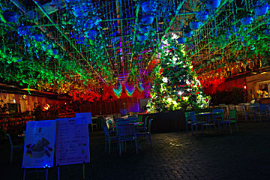 なばなの里のイルミネーションの画像