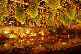 なばなの里のイルミネーションの画像