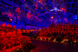 なばなの里のイルミネーションの画像