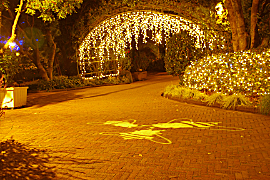 なばなの里のイルミネーションの画像