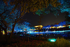 なばなの里のイルミネーションの画像