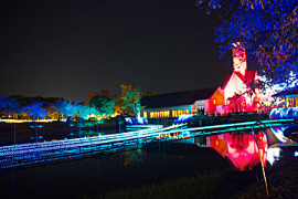 なばなの里のイルミネーションの画像