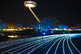 なばなの里のイルミネーションの画像