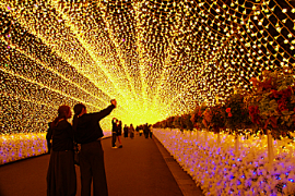 なばなの里のイルミネーションの画像