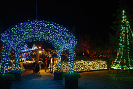 なばなの里のイルミネーションの画像