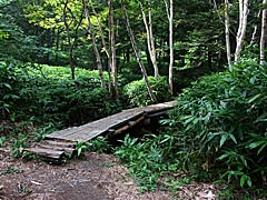 三本滝の遊歩道　乗鞍高原の画像