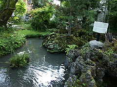 白骨温泉の噴湯丘（丸永旅館の庭）の画像