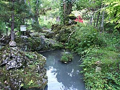 白骨温泉の噴湯丘（丸永旅館の庭）の画像