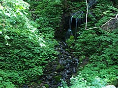 白骨温泉の竜神の滝の画像