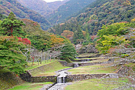 養老の滝の画像