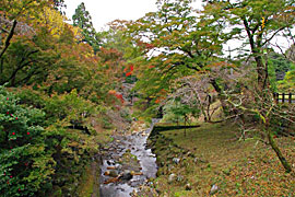 養老の滝の画像