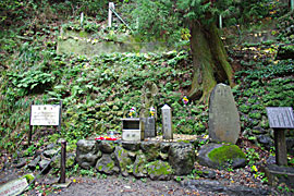 養老の滝の画像