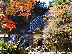 白山スーパー林道の紅葉の画像