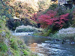 鶴仙渓の紅葉の画像