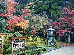 那谷寺の紅葉の画像
