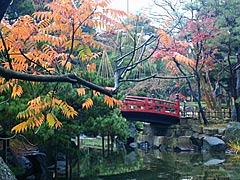 芦城公園の紅葉の画像