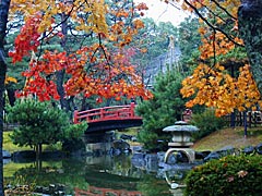 芦城公園の紅葉の画像