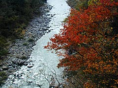 手取峡谷の紅葉の画像 対山橋から