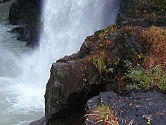 手取峡谷の紅葉の画像 綿ヶ滝近辺