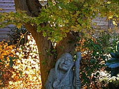 香林寺（寺町寺院群）の紅葉の画像