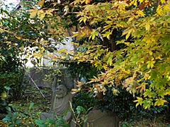 香林寺（寺町寺院群）の紅葉の画像