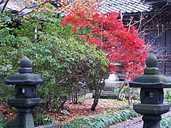 西養寺（卯辰山山麓寺院群）の紅葉の画像