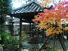 全性寺（卯辰山山麓寺院群）の紅葉の画像