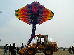 内灘町の凧の祭典の画像