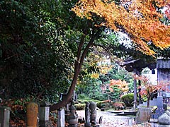 山の寺寺院群の妙観院の紅葉の画像