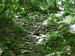 医王山の三蛇ケ滝近辺の通路の画像