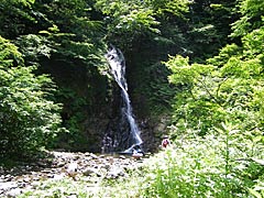 医王山の三蛇ケ滝の画像