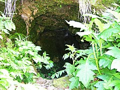 医王山の三蛇ケ滝の洞穴の画像