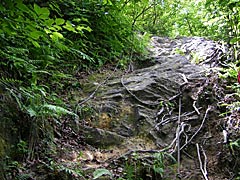 医王山のトンビ岩への絶壁のロープの画像