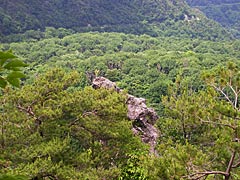 医王山のトンビ岩の画像