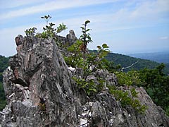 医王山のトンビ岩頂上近くの岩の画像