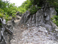 医王山のトンビ岩頂上近くの通路と岩の画像