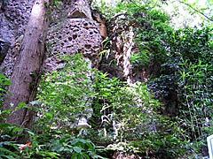 ハニベ巌窟院の自然陰石（女性）の画像