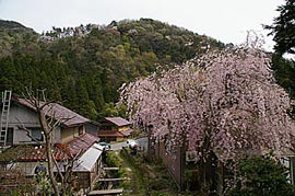 加賀東谷伝統的建造物群保存地区の画像