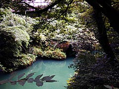 鶴仙渓　黒谷橋から「あやとりはし」の画像