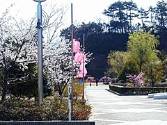 和田山末寺山史跡公園の桜の画像
