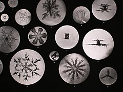 雪の結晶のパネル　中谷宇吉郎 雪の科学館の画像