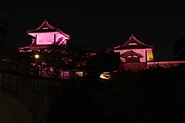 ピンクリボン運動　金沢城石川門のライトアップの画像