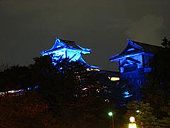 世界糖尿病デー　金沢城石川門のライトアップの画像