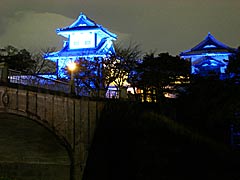世界糖尿病デー　金沢城石川門のライトアップの画像